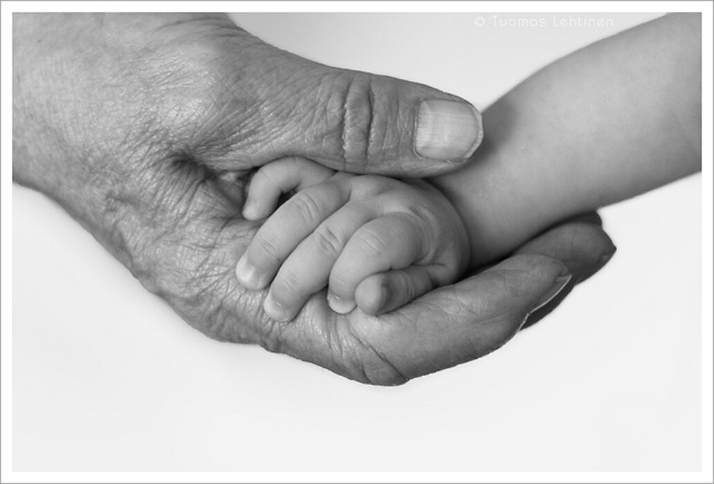 7950762924_d87fd5cd7a_z_1