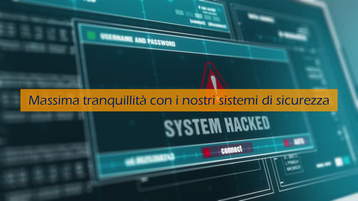 81b2d88b-ef6a-4d09-9244-691784535dda 81b2d88b-ef6a-4d09-9244-691784535dda