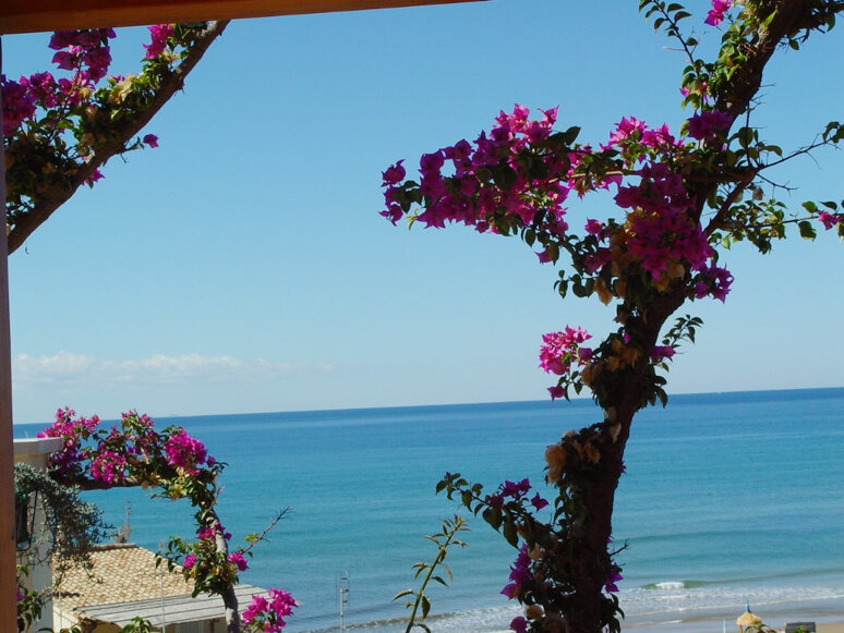 3ad132d0-9bc5-4d4e-ac67-bcf31850f830