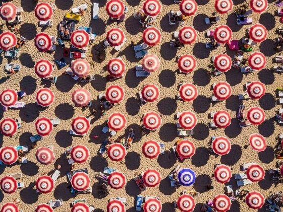 7737d81e-2550-4b19-bdbb-60f14d4e9ec3