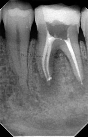 6ed67f57-120c-414c-813b-22786b6869e1