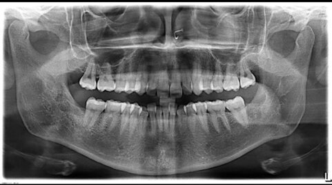 f9d5893d-1522-4be1-81d9-1da21b0e7188