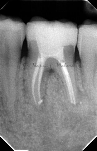 29a017be-185a-472d-946e-d1be8c93a860