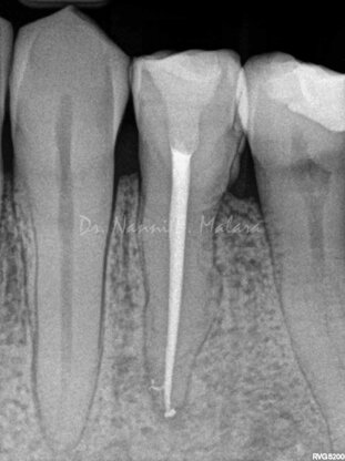 a841fd1c-d7e7-49b3-998c-4866d0d2e6ca