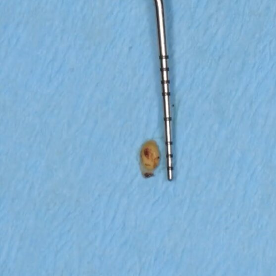 35ee9b0f-6022-4c63-84e4-6dc5fe8c4464