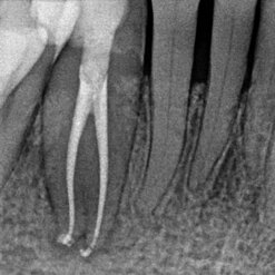 3ab585f9-d097-44a0-822a-ebfe612c92eb