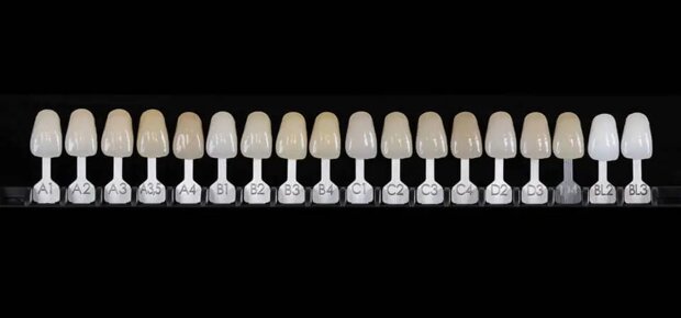 c2c39329-4825-4072-bd7d-b3c60c3a4081