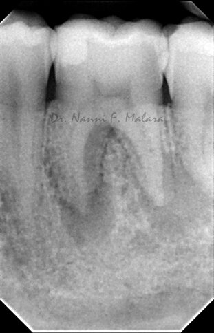 324e041a-db3c-4655-85d5-c6702958ffdf