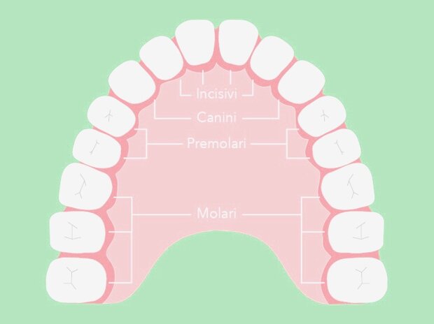 e65fc37a-ea5c-45fc-98e9-6a54e20545e2