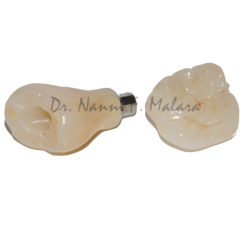 667c2c4d-20e7-43ab-8c76-ca1d4585862f