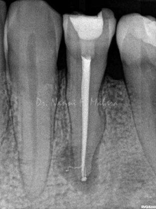 02206522-d950-4952-b3c2-767423716bb6