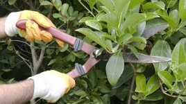 d1bd3d0b-a0d0-4283-b7b5-1e105bc5e13a