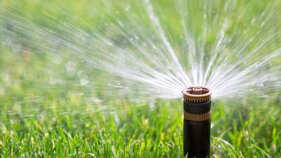 b6c72907-3e59-4169-a738-821062d631de