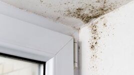 83d5312b-3a4e-4ede-b2ed-9b76a5593a2a 83d5312b-3a4e-4ede-b2ed-9b76a5593a2a