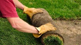 413978d6-82e1-4b7a-bc95-d6b567b72d53