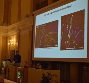 eyJpdCI6IiJ9 eyJpdCI6IiJ9