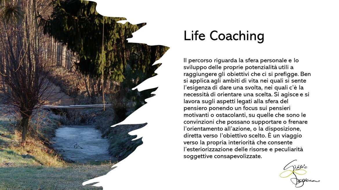 84029f87-0e39-4d75-9922-57ead3a36c92