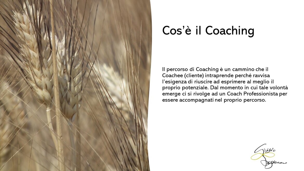 ad961e69-d76b-4d55-bba1-1ec0983006ba