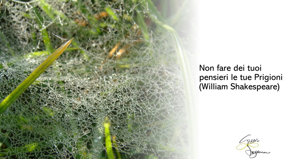 98c3c506-a467-4811-8abf-4985d4d5de98