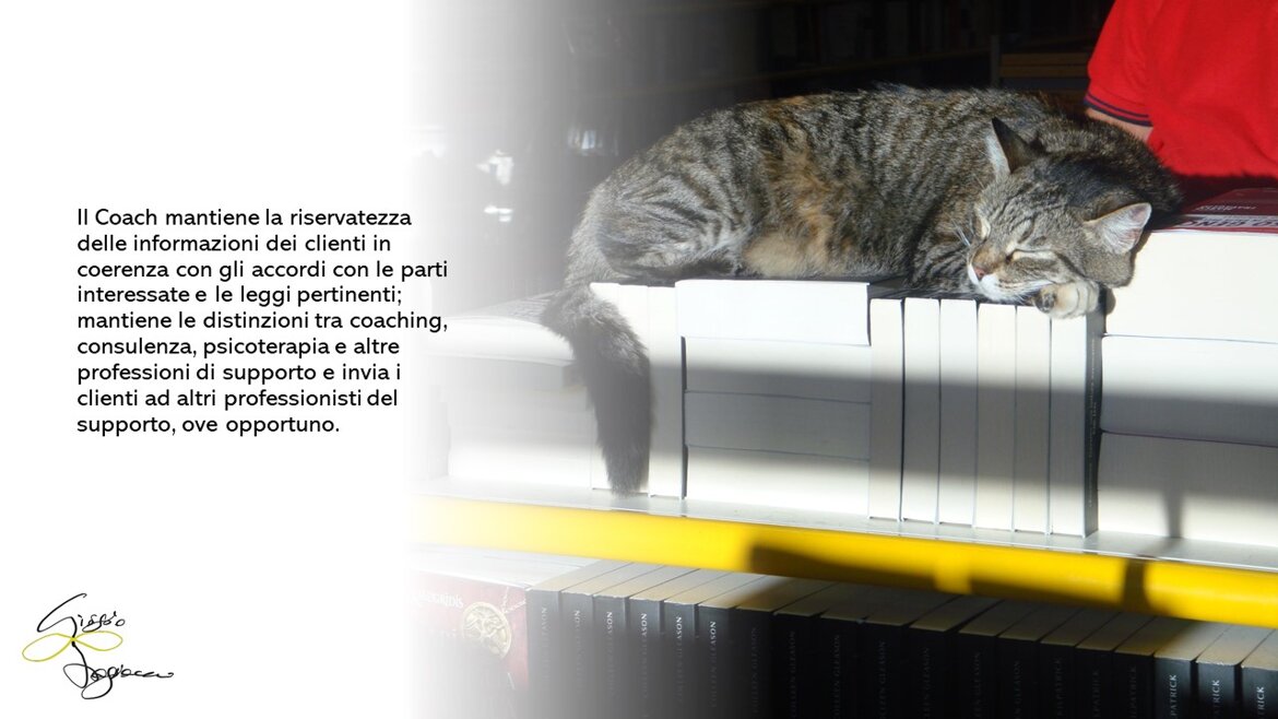 c05560f0-fbcf-425a-8fb1-f3af59ef0046