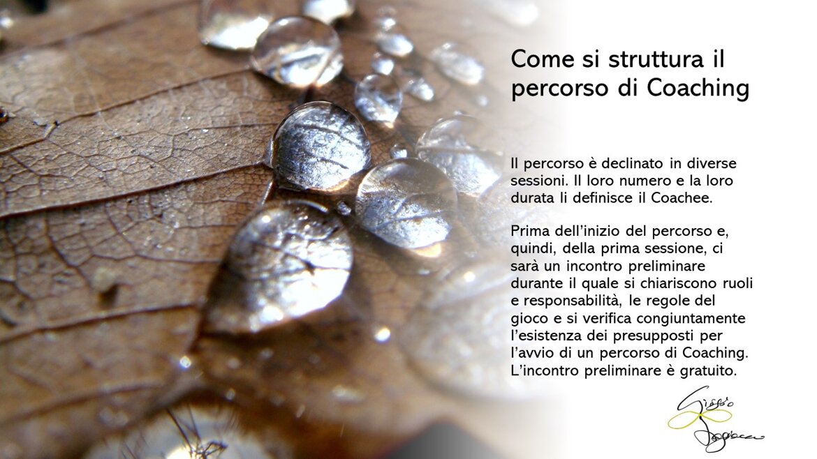 780f03a2-ee66-4a5b-9b66-fb9d55a0715d