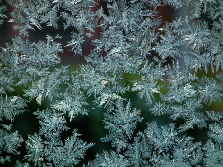 e489693c-641e-4bcc-85b4-7f4d65954fec