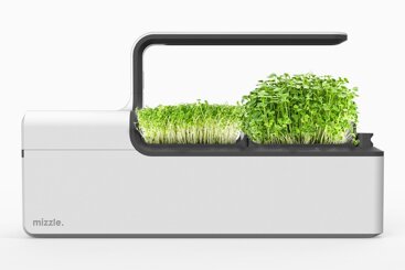 92ce6c85-b2b7-4146-b347-5fb30a4d1899 92ce6c85-b2b7-4146-b347-5fb30a4d1899