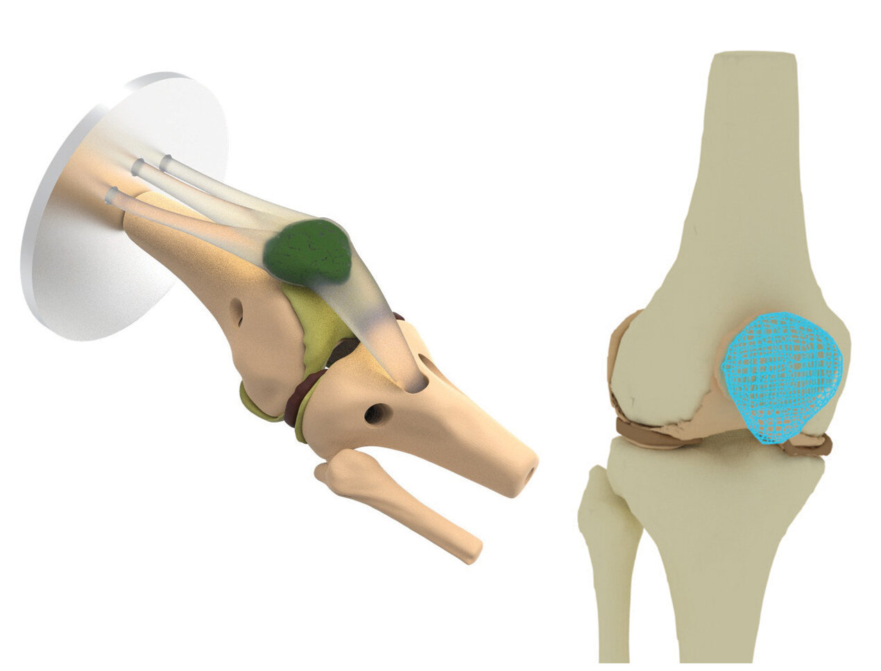 f71dd820-da0f-47d8-8973-882c1ab38873.jpg f71dd820-da0f-47d8-8973-882c1ab38873.jpg