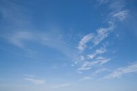 88448cd5-a08c-494d-a652-af0944f49f19.jpeg