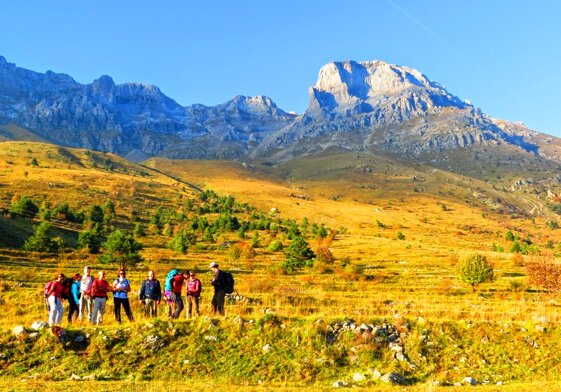 96d07590-2624-4e1c-98ca-8c5b2e681d2c 96d07590-2624-4e1c-98ca-8c5b2e681d2c