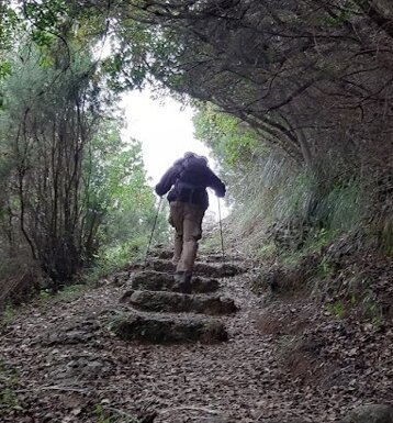 880e3245-2a76-4288-9039-27ad013dcaf3