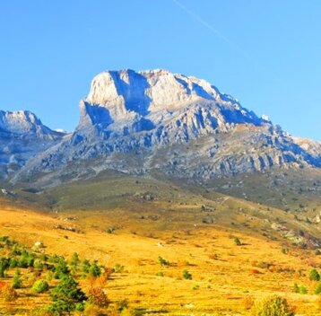 f0a53b1e-5874-4b5f-8479-4c3454bcc394