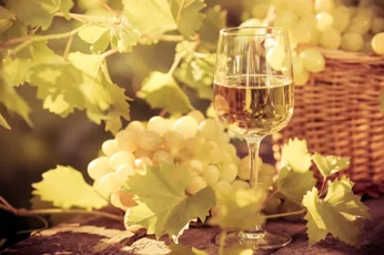 vetro-di-vino-ed-uva-della-vite-58931220