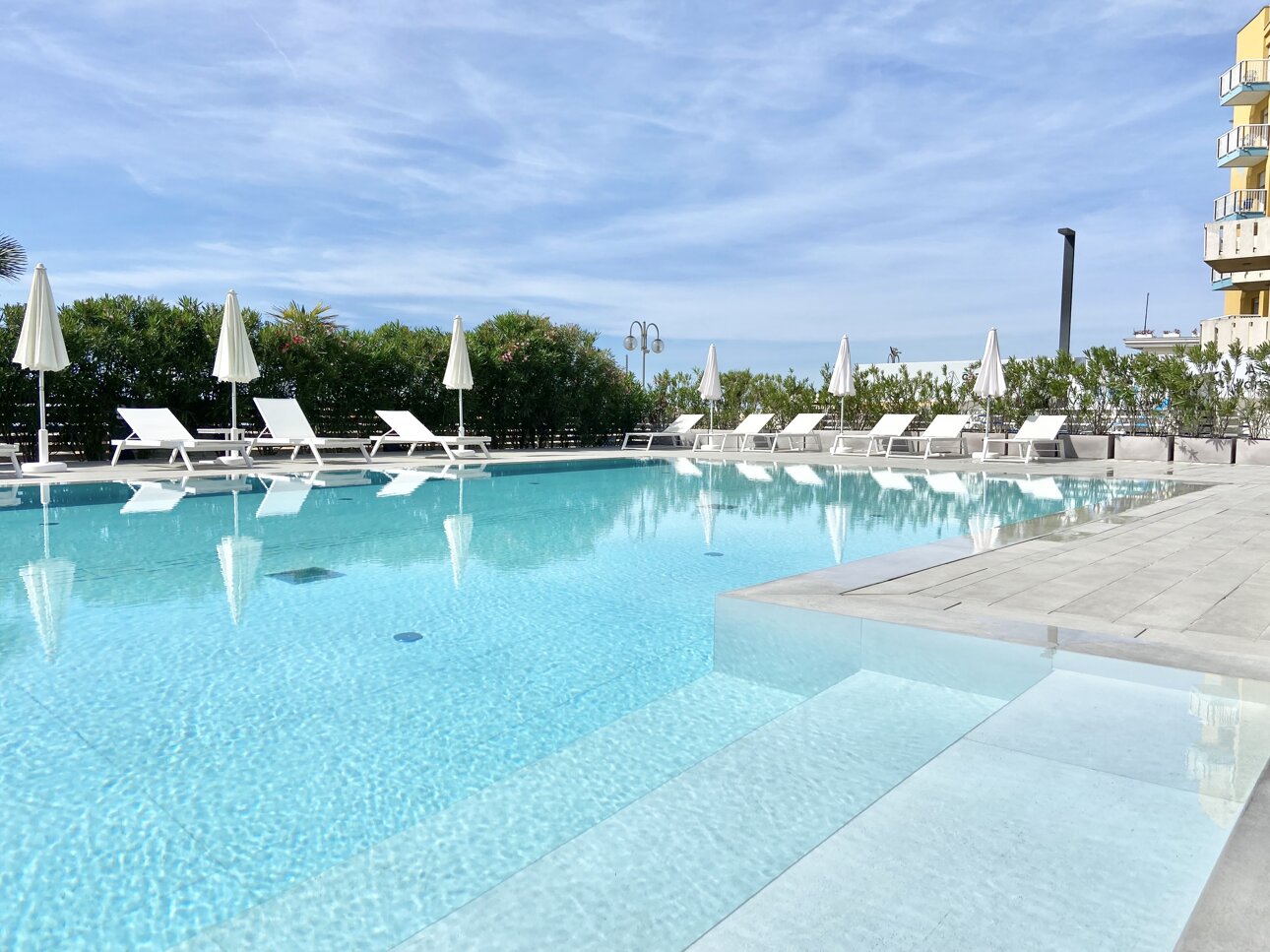 img_0815.jpeg img_0815.jpeg