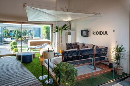 immagine whatsapp 2025-11-21 ore 18.11.16_80d3fad2.jpeg