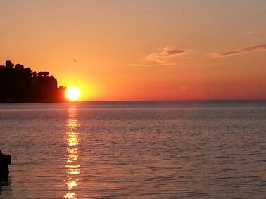 34382b30-53e8-4b65-b423-83feb1bdd94f