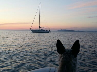 87190b66-4d45-4950-85a5-d222de7e32df