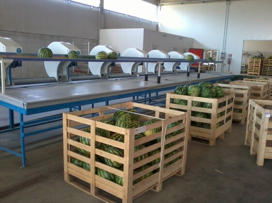 39e555bd-821a-4e0b-ad03-9ccdc01b26ac