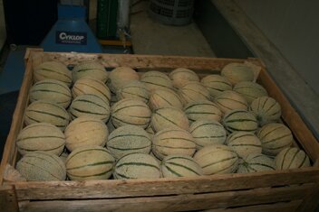 e0414ce4-7ae0-41ad-8112-bbab6b7e7388 e0414ce4-7ae0-41ad-8112-bbab6b7e7388