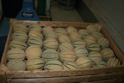 e0414ce4-7ae0-41ad-8112-bbab6b7e7388