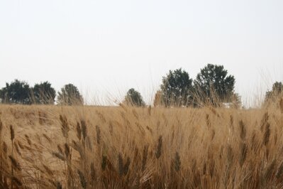 0929d12c-37de-4873-bead-9782073427bb