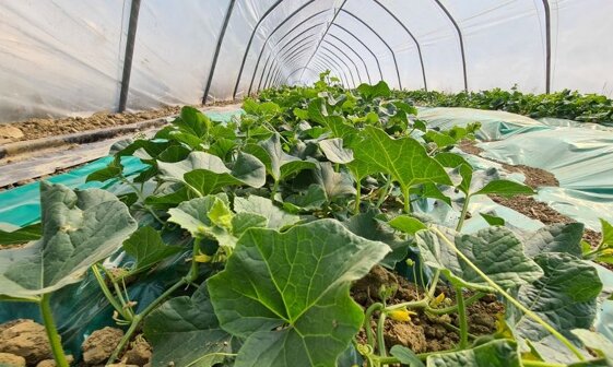 f15509d1-86a2-45d2-9db7-a01d2e0b6cde