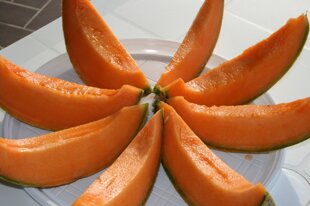 b2e8c576-f9cb-49ff-aae2-9ed324d7b049