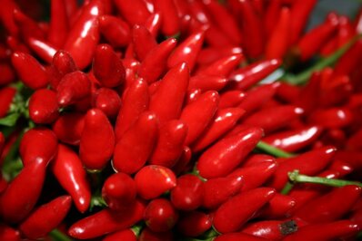 0f0d2754-752c-46f5-9d81-4a01c2e8bdb0 0f0d2754-752c-46f5-9d81-4a01c2e8bdb0