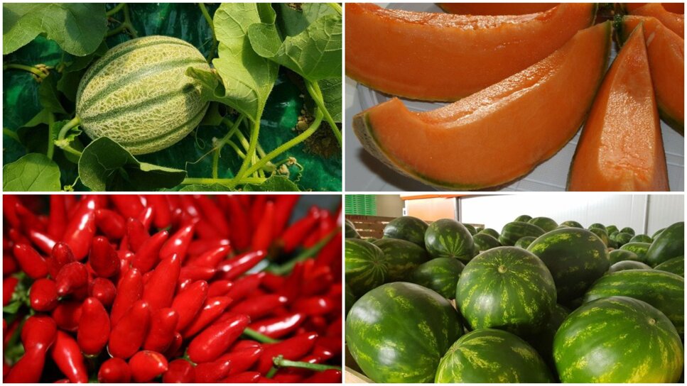 a613a528-b940-4e91-aeaf-42f74b95095a