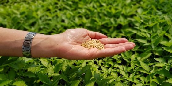 2ec6b945-effa-47e3-a1d9-ebe80840ef4d