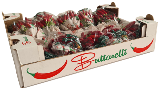 5ba557cb-e838-4556-b5de-5d3ab98027ed