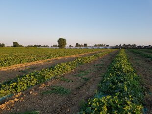 9b80d778-7cfe-409c-870d-c23454e0830a