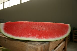 ee714ea3-1c36-4b51-9d5f-1fa9cdd71fe2