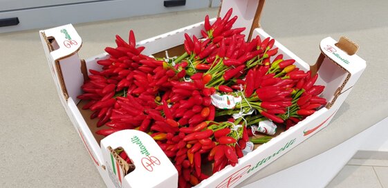 cb9848c2-749d-4bdd-9892-2af617267071